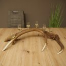 Schnapsleverancier 5x kleine glazen met steel op edelhertenstang Cadeau 27.60.2.57