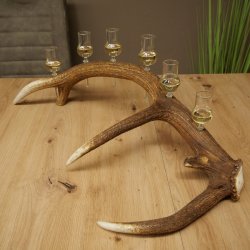 Schnapsleverancier 5x kleine glazen met steel op edelhertenstang Cadeau 27.60.2.57