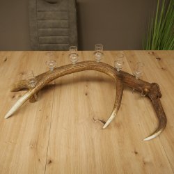 Schnapsleverancier 5x kleine glazen met steel op edelhertenstang Cadeau 27.60.2.57