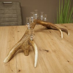 Schnapsleverancier 5x kleine glazen met steel op edelhertenstang Cadeau 27.60.2.57