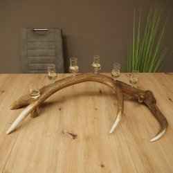Schnapsleverancier 5x kleine glazen met steel op edelhertenstang Cadeau 27.60.2.57