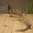 Schnapsleverancier 5x kleine glazen met steel op...