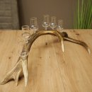 Schnapsleverancier 5x kleine glazen met steel op edelhertenstang Cadeau 27.60.2.57