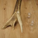 Schnapsleverancier 5x kleine glazen met steel op edelhertenstang Cadeau 27.60.2.57