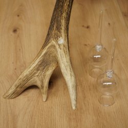 Schnapsleverancier 5x kleine glazen met steel op edelhertenstang Cadeau 27.60.2.57