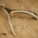 Schnapsleverancier 5x kleine glazen met steel op edelhertenstang Cadeau 27.60.2.57