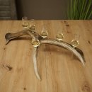Schnapsleverancier 5x kleine glazen met steel op edelhertenstang Cadeau 27.60.2.57