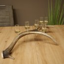 Schnapsleverancier 5x kleine glazen met steel op edelhertenstang Cadeau 27.60.2.57