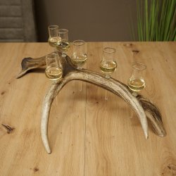 Schnapsleverancier 5x kleine glazen met steel op edelhertenstang Cadeau 27.60.2.57