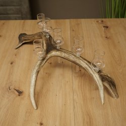 Schnapsleverancier 5x kleine glazen met steel op edelhertenstang Cadeau 27.60.2.57