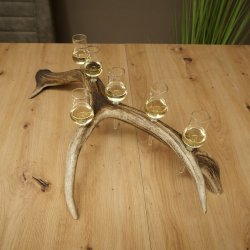 Schnapsleverancier 5x kleine glazen met steel op edelhertenstang Cadeau 27.60.2.57