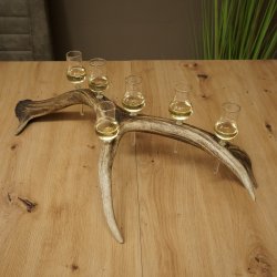 Schnapsleverancier 5x kleine glazen met steel op edelhertenstang Cadeau 27.60.2.57