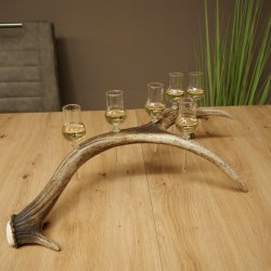 Schnapsleverancier 5x kleine glazen met steel op edelhertenstang Cadeau 27.60.2.57