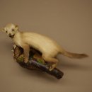 Stone marten Marten on branch Taxidermy decoration Height 53 m Taxidermy specimen 89.5.231