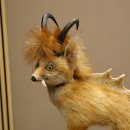 Wolpertinger, Wolpi, zorro con cuernos de gamuza, zorro dragón de cola verde, espécimen disecado, criatura mítica