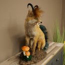 Wolpertinger, Wolpi, zorro con cuernos de gamuza, zorro...