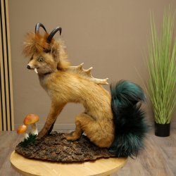 Wolpertinger, Wolpi, zorro con cuernos de gamuza, zorro dragón de cola verde, espécimen disecado, criatura mítica