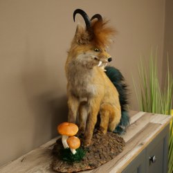 Wolpertinger, Wolpi, zorro con cuernos de gamuza, zorro dragón de cola verde, espécimen disecado, criatura mítica