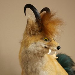 Wolpertinger, Wolpi, zorro con cuernos de gamuza, zorro dragón de cola verde, espécimen disecado, criatura mítica