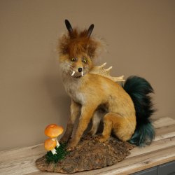 Wolpertinger, Wolpi, zorro con cuernos de gamuza, zorro dragón de cola verde, espécimen disecado, criatura mítica