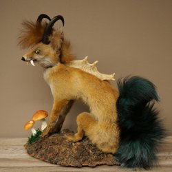 Wolpertinger, Wolpi, zorro con cuernos de gamuza, zorro dragón de cola verde, espécimen disecado, criatura mítica