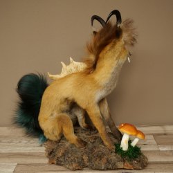 Wolpertinger, Wolpi, zorro con cuernos de gamuza, zorro dragón de cola verde, espécimen disecado, criatura mítica