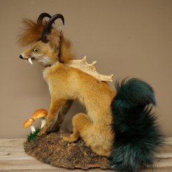 Wolpertinger, Wolpi, zorro con cuernos de gamuza, zorro dragón de cola verde, espécimen disecado, criatura mítica