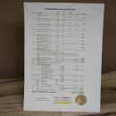 Cuernos de ciervo rojo 6 puntas Altura 59 cm Cuernos de...