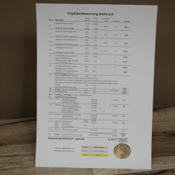 Cuernos de ciervo rojo 6 puntas Altura 59 cm Cuernos de ciervo Cuernos tallados con placa de trofeo 70.1031