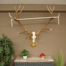 Cuernos de ciervo rojo 6 puntas Altura 59 cm Cuernos de ciervo Cuernos tallados con placa de trofeo 70.1031