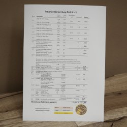 Cuernos de ciervo rojo 6 puntas Altura 59 cm Cuernos de ciervo Cuernos tallados con placa de trofeo 70.1031