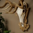 Rothirschgeweih ung. 20 ender Hirsch Höhe 112 cm Hirschgeweih Geweih auf geschnitztem Trophäenschild #82