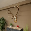 Bois de cerf rouge 6 cors Hauteur 59 cm Bois de cerf Plaque trophée sculptée 70.1031