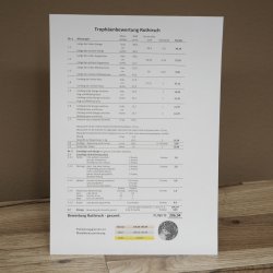 Bois de cerf rouge 6 cors Hauteur 59 cm Bois de cerf Plaque trophée sculptée 70.1031