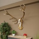 Bois de cerf rouge 6 cors Hauteur 59 cm Bois de cerf Plaque trophée sculptée 70.1031