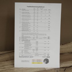 Cuernos de ciervo rojo 6 puntas Altura 59 cm Cuernos de ciervo Cuernos tallados con placa de trofeo 70.1031