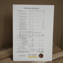 Cuernos de ciervo rojo 6 puntas Altura 59 cm Cuernos de ciervo Cuernos tallados con placa de trofeo 70.1031