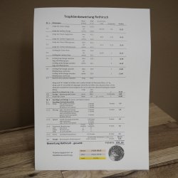 Cuernos de ciervo rojo 6 puntas Altura 59 cm Cuernos de ciervo Cuernos tallados con placa de trofeo 70.1031