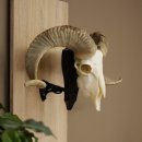 Schapen Ram Kuddegedeelte Gedraaide hoorns HL 66 cm...
