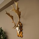 Daim bois hauteur 76 cm Daim bois de cerf bouclier sculpté 72.545