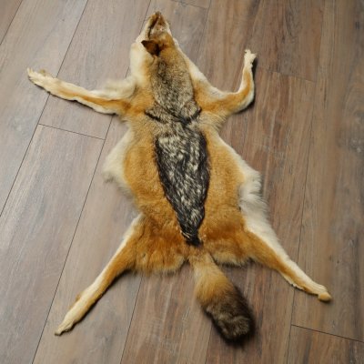Alfombras Alfombra de piel de chacal Alfombra de chacal África 87.109.4