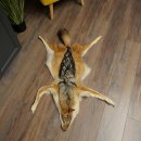 Alfombras Alfombra de piel de chacal Alfombra de chacal África 87.109.4