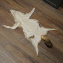 Alfombras Alfombra de piel de chacal Alfombra de chacal África 87.109.4