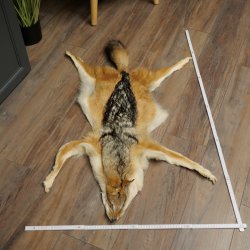 Alfombras Alfombra de piel de chacal Alfombra de chacal África 87.109.4