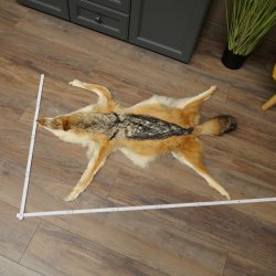 Alfombras Alfombra de piel de chacal Alfombra de chacal África 87.109.4