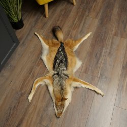 Alfombras Alfombra de piel de chacal Alfombra de chacal África 87.109.4