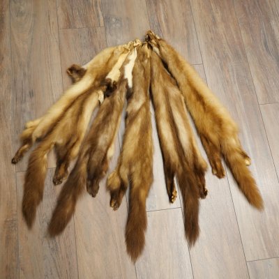 Marten fur Marten fur 2-piece set Stone marten Animal rug
