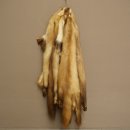 Marten fur Marten fur 2-piece set Stone marten Animal rug