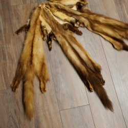 Marten fur Marten fur 2-piece set Stone marten Animal rug