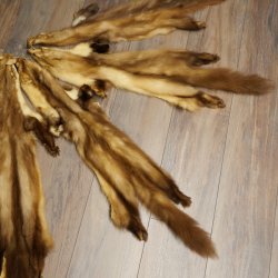 Marten fur Marten fur 2-piece set Stone marten Animal rug